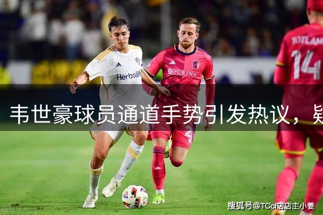 韦世豪球员通道手势引发热议，疑似暗讽河南球迷